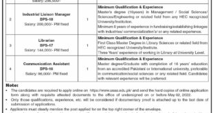 The University of Engineering And Applied Sciences Jobs in Sawat